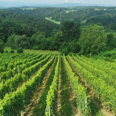 Sobe, - Vina Kauran Bed & Breakfast